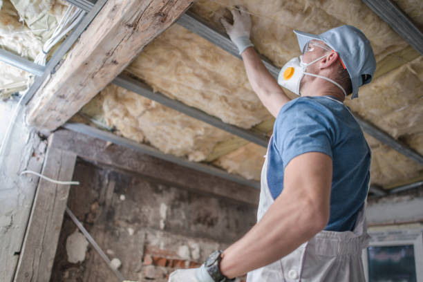 Best Blown-in Insulation  in Deming, NM
