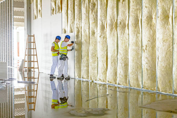 Best Spray Foam Insulation  in Deming, NM